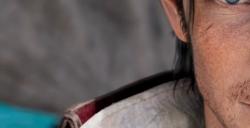 ff14土妖马古尔法克西坐骑怎么获得 ff14土妖马古尔法克西获取方法