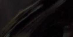 《剑星》击败迅驰攻略分享