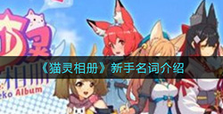 猫灵相册新手名词有哪些  新手名词介绍
