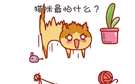 找物大侦探第8关攻略  猫咪最怕什么