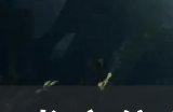 《龙之信条2》迪莎的谋略任务怎么做 迪莎的谋略任务攻略