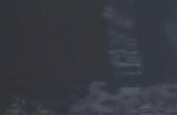 《明末：渊虚之羽》鬼新娘方灵简单打法攻略分享