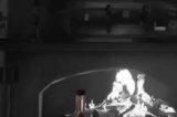 《真人快打1》更新万圣节“死亡”活动的新处决动作