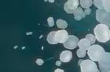 电影《哪吒之魔童闹海》首支预告 大年初一正式上映