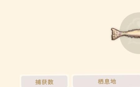 《Dinkum金肯小镇》攻略——全百科图鉴