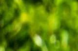英伟达发布全球最强AI芯片H200：性能较H100提升近一倍