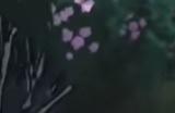 《自由前行》游戏配置要求介绍