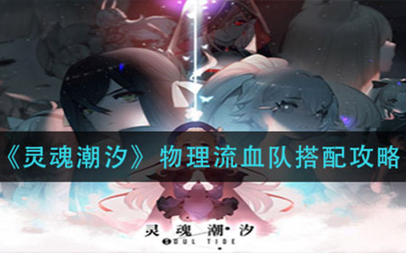灵魂潮汐物理流血队怎么搭配  物理流血队搭配攻略