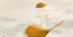 Sucker Punch还在计划《羊蹄山之魂》以外的衍生作品