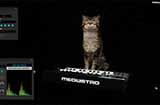 《Meowstro》上线SteamMIDI音乐设计猫咪演奏