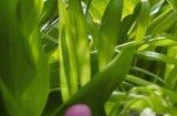 英国实体游戏销量榜：《皮克敏4》第一 《暗黑4》上榜