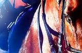 《赛马大亨10 2024》体验版于3月14上线 月底发售完整版