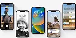 iPhone 14如何启用卫星紧急SOS服务  iPhone 14卫星紧急SOS服务功能使用方法