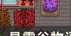 《星露谷物语》结局是什么 山顶结局介绍