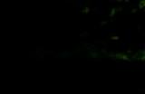 《超级机器人大战Y》游戏下载网址介绍