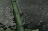《鬼武者2：复刻版》新视频 灵活使用武器击败敌人