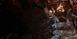 《最后纪元》无光之庭的泰坦打法介绍