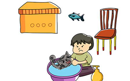 脑洞大师第171关攻略  给猫咪洗澡