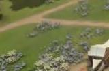 《奠基》种植小麦方法介绍