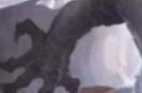 王者荣耀韩信荣耀典藏什么时候上线