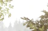 《颂钟长鸣》游戏怎么快速刷声望