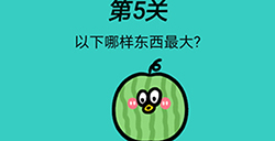 心战大师第5关攻略  以下哪样东西最大