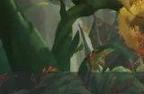 《魔兽世界》丛林守护者天赋是什么 11.0德鲁伊丛林守护者天赋树介绍