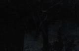 第一人称恐怖游戏《Whispers in the Fog》实机预告片