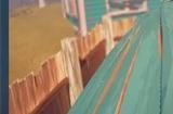 动作冒险《高难度跳蛋游戏》Steam页面上线 支持中文