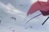 率土之滨兑换码2024永久 最新有效兑换码大全