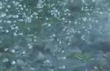 《明末：渊虚之羽》永烈千秋赵云打法技巧分享