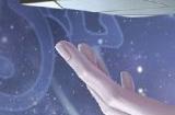 烨烨星辰《第五人格》演绎之星系列【稀世时装】宿伞之魂 粲然的北辰即将上架！