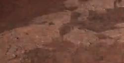 《堕落之主》领主法器分享