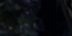 《光与影：33号远征队》熙艾尔全技能效果介绍