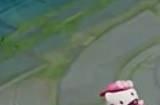王者荣耀HelloKitty小兵皮肤特效展示 HelloKitty小兵皮肤外观特效好看吗