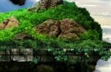《神之天平》遮阳伞怎么获得