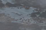 《地狱潜者2》做地质勘探大任务需要注意什么