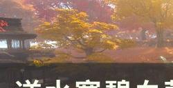 《逆水寒》碧血营种师道怎么打 碧血营种师道打法攻略