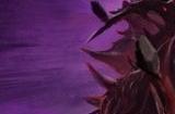《龙腾世纪：影障守护者》IGN9分 重振龙腾义不容辞