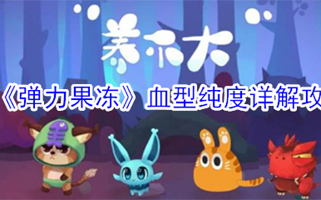 弹力果冻血型纯度什么好  血型纯度详解攻略