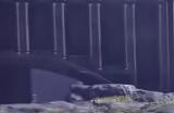 《艾尔登法环：黑夜君临》特殊地形相关成就攻略分享
