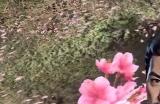 《英雄立志传：三国志》刷好感方法介绍