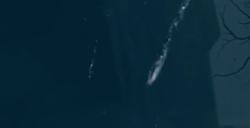 《艾尔登法环》艾拉克河底腐烂树灵BOSS图鉴