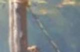《战神：诸神黄昏》PC版仍强制绑定PSN账户
