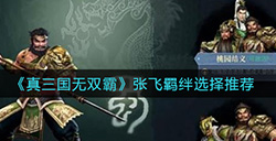 真三国无双霸张飞羁绊怎么选择  张飞羁绊选择推荐