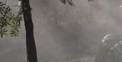 《荒野大镖客2》动物卡罗莱纳长尾鹦鹉在哪里找