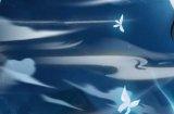 【小浣熊百将传】王牌女将 琼失簇·仇琼英 束甲登场！