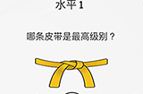 脑力游戏谜题第1关攻略  哪条皮带是最高级别