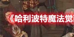 哈利波特魔法觉醒茶语呢喃时装怎么样 茶语呢喃时装展示