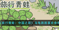 旅行青蛙中国之旅乌龟困困喜欢吃什么乌龟困困喜欢食物介绍